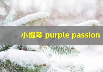 小提琴 purple passion